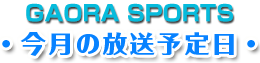 今月の放送予定日